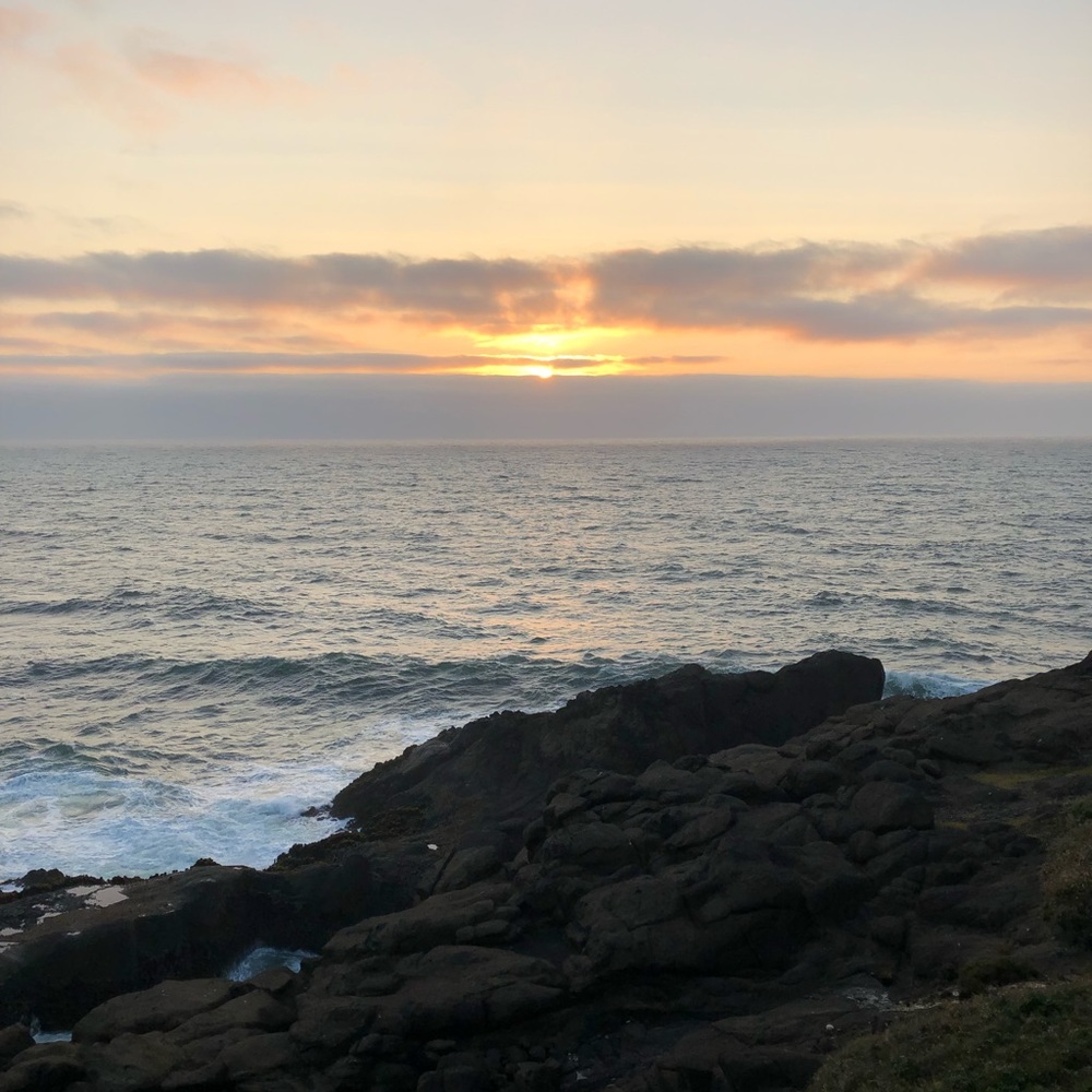 Meet your Posher, Princess